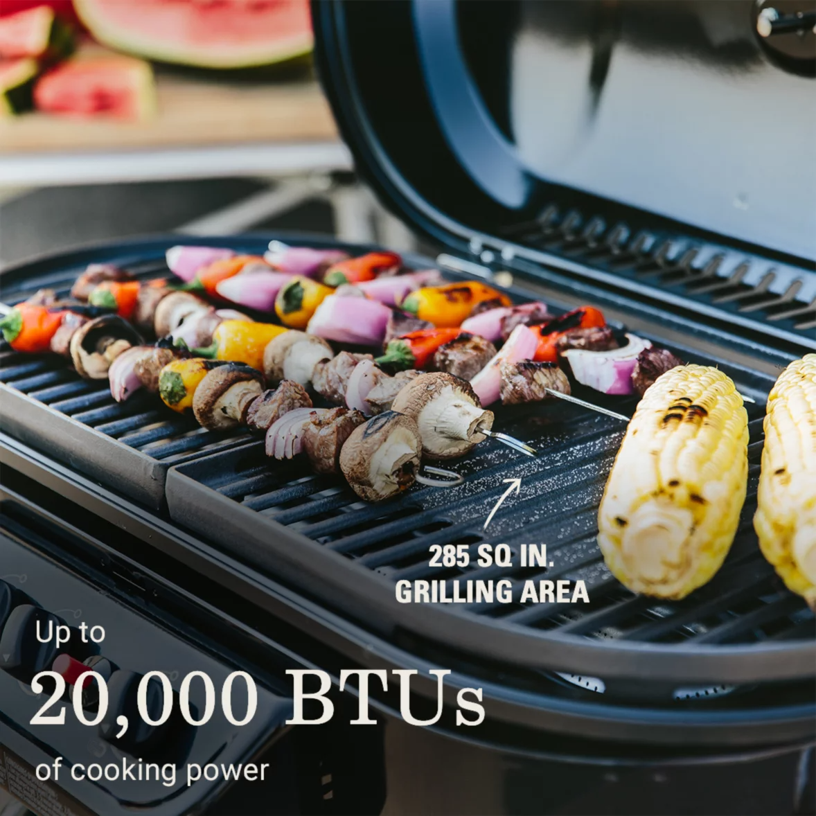 Coleman RoadTrip® 285 Portable Stand-Up Propane Grill