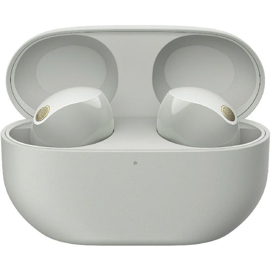 Sony True Wireless Noise Canceling Earbuds - Silver